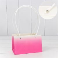 Пакет подарочный      