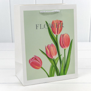 Пакет подарочный    