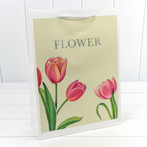 Пакет подарочный         