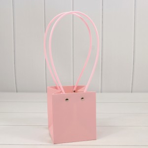 Пакет подарочный     