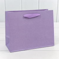 Пакет подарочный  