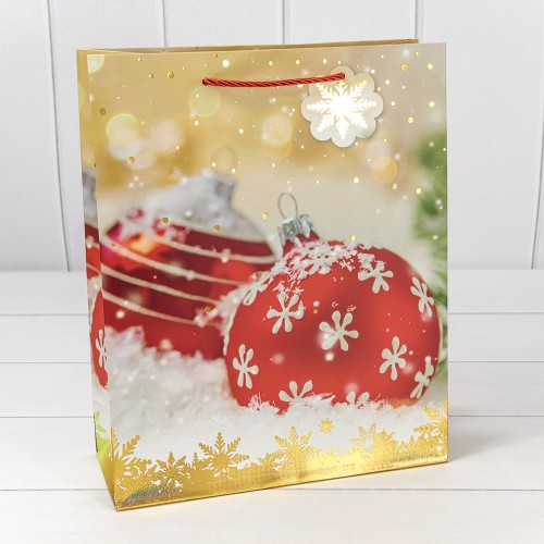 Пакет подарочный