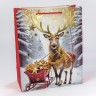 Пакет подарочный Пакет подарочный