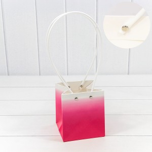 Пакет подарочный    