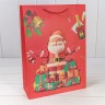 Пакет подарочный Пакет подарочный