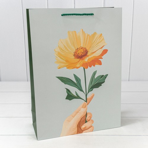 Пакет подарочный