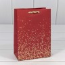 Пакет подарочный