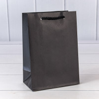 Пакет подарочный  