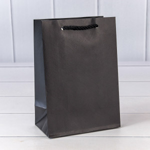 Пакет подарочный  