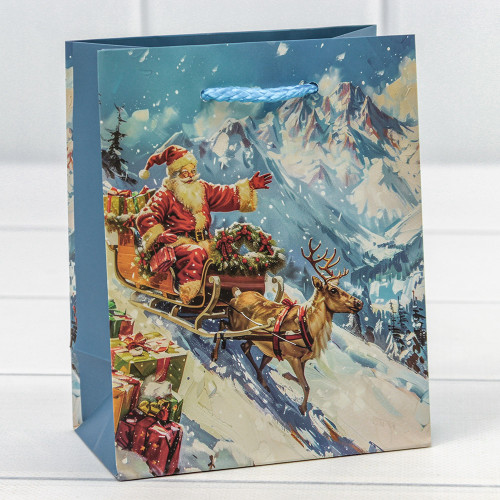 Пакет подарочный  