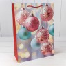 Пакет подарочный Пакет подарочный