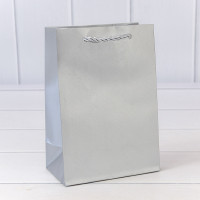 Пакет подарочный  