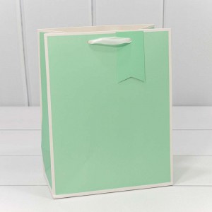 Пакет подарочный 