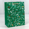Пакет подарочный Пакет подарочный
