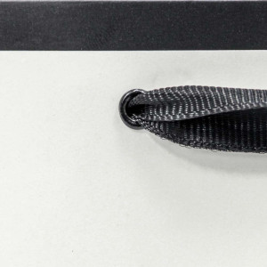 Пакет подарочный    