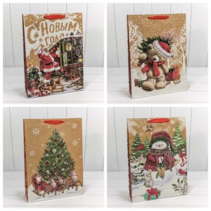 Пакет подарочный