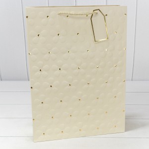 Пакет подарочный    