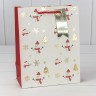 Пакет подарочный Пакет подарочный