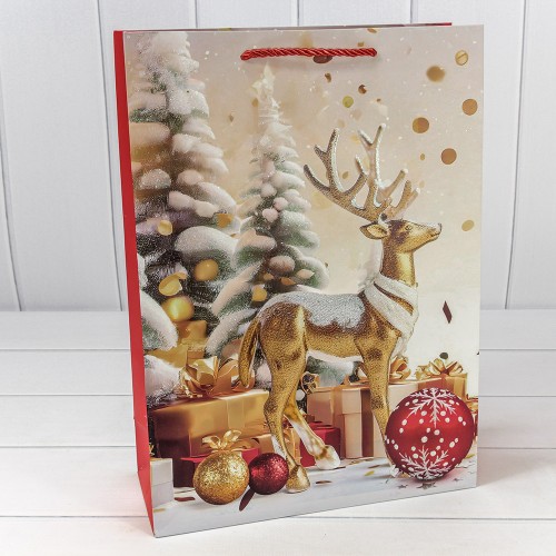 Пакет подарочный