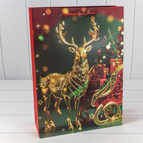 Пакет подарочный