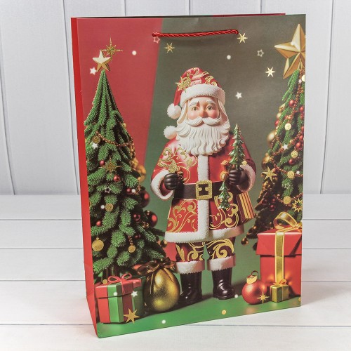 Пакет подарочный