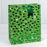 Пакет подарочный Пакет подарочный