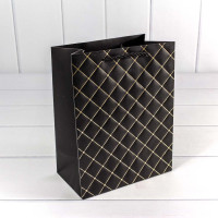 Пакет подарочный