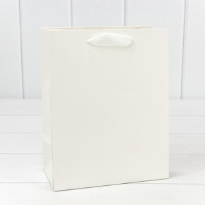 Пакет подарочный     