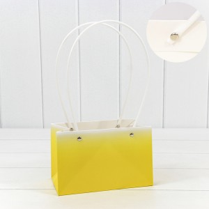 Пакет подарочный        