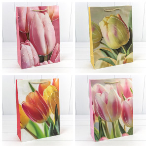 Пакет подарочный         