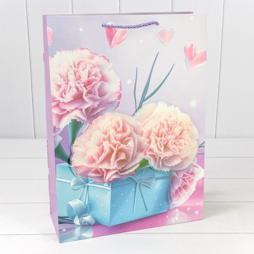 Пакет подарочный