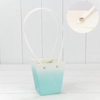 Пакет подарочный 