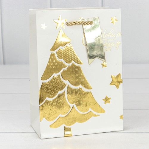 Пакет подарочный   