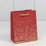 Пакет подарочный Пакет подарочный