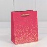 Пакет подарочный Пакет подарочный