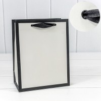 Пакет подарочный     