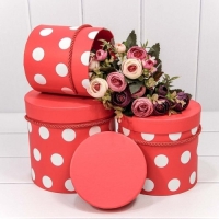 коробки цилидры